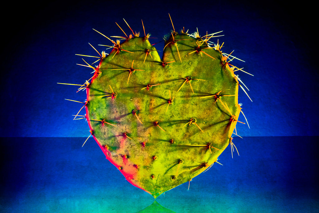 A Prickly Heart ...