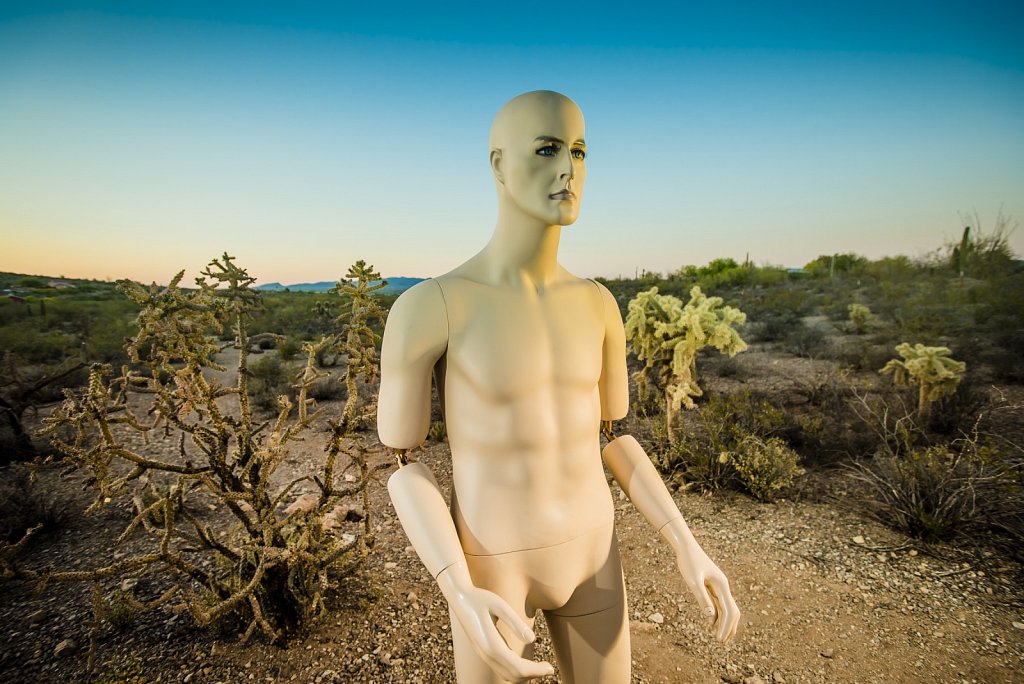Mannequin in the Desert
